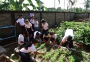 Huerto Urbano como crear un proyecto escolar de huerto