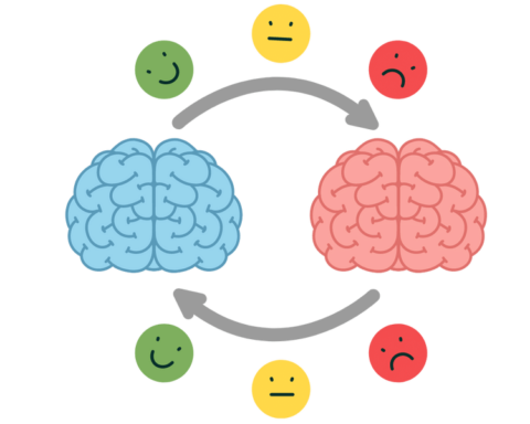 Desarrollo De Habilidades Socioemocionales En Niños - Extraescolares Y Ocio