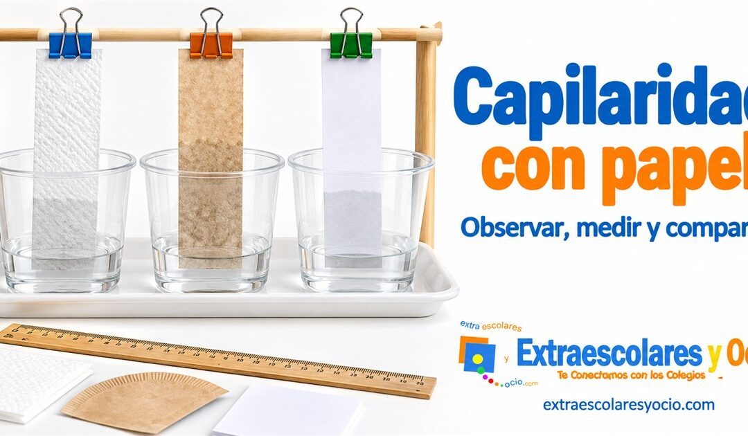 Capilaridad con papel: experimento para niños en 45 minutos