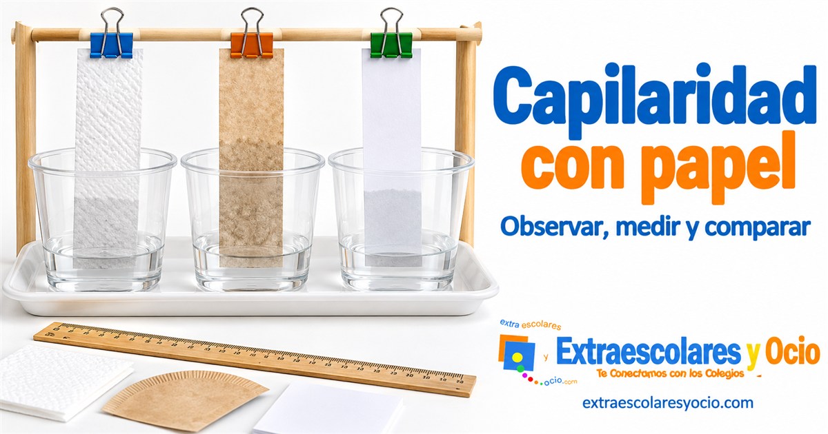 Tres tiras de papel suspendidas sobre vasos con agua para observar la capilaridad